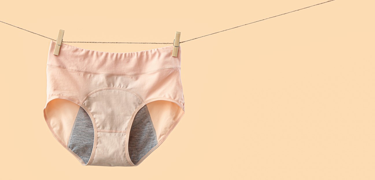 Photo of period underwear hanging on a clothesline