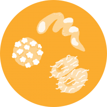 Icon of bacteria on orange background